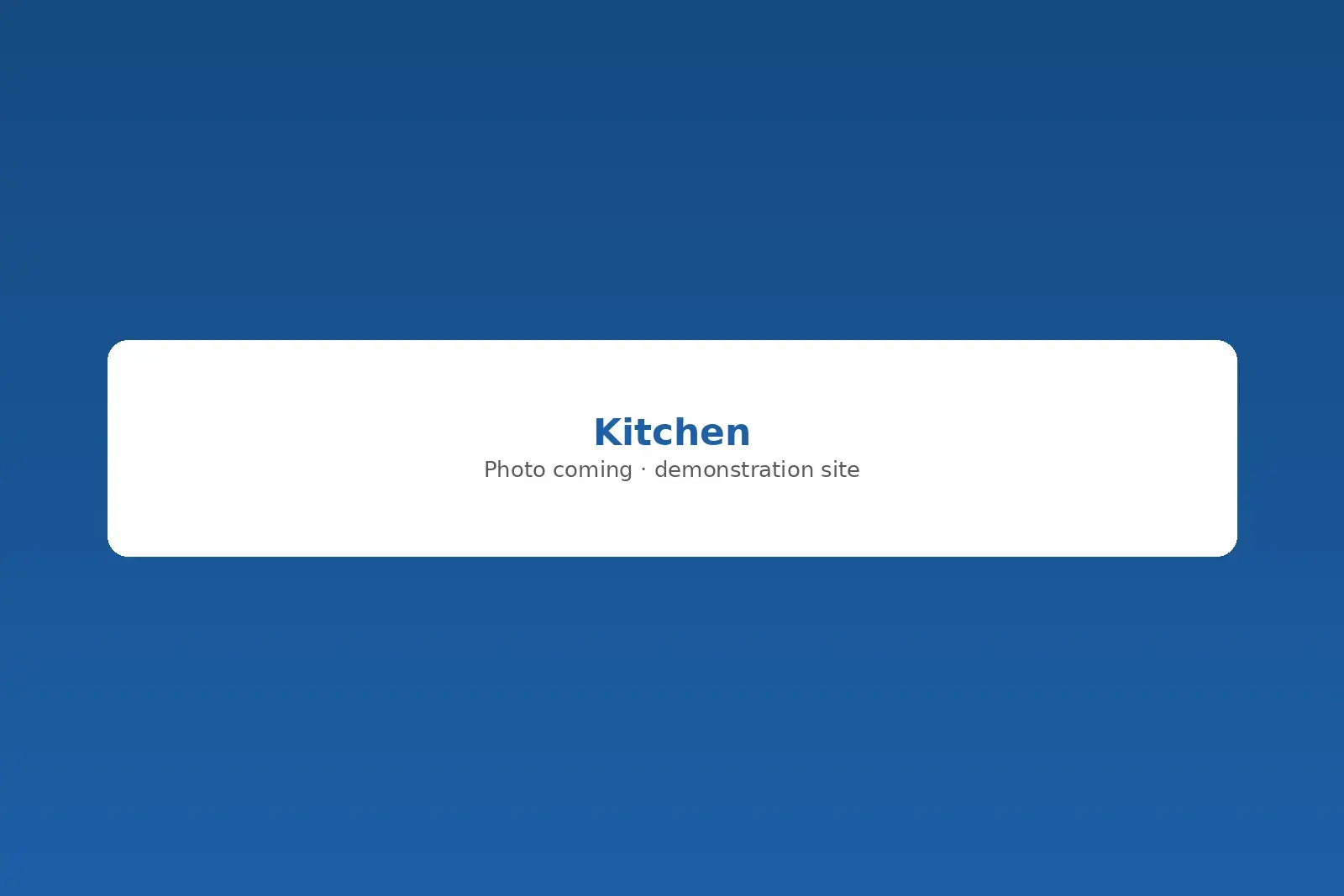 Bright kitchen with a new faucet and disposal
